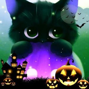 Meet your Posher, Dianne